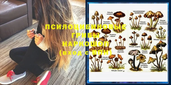 тгк Заводоуковск